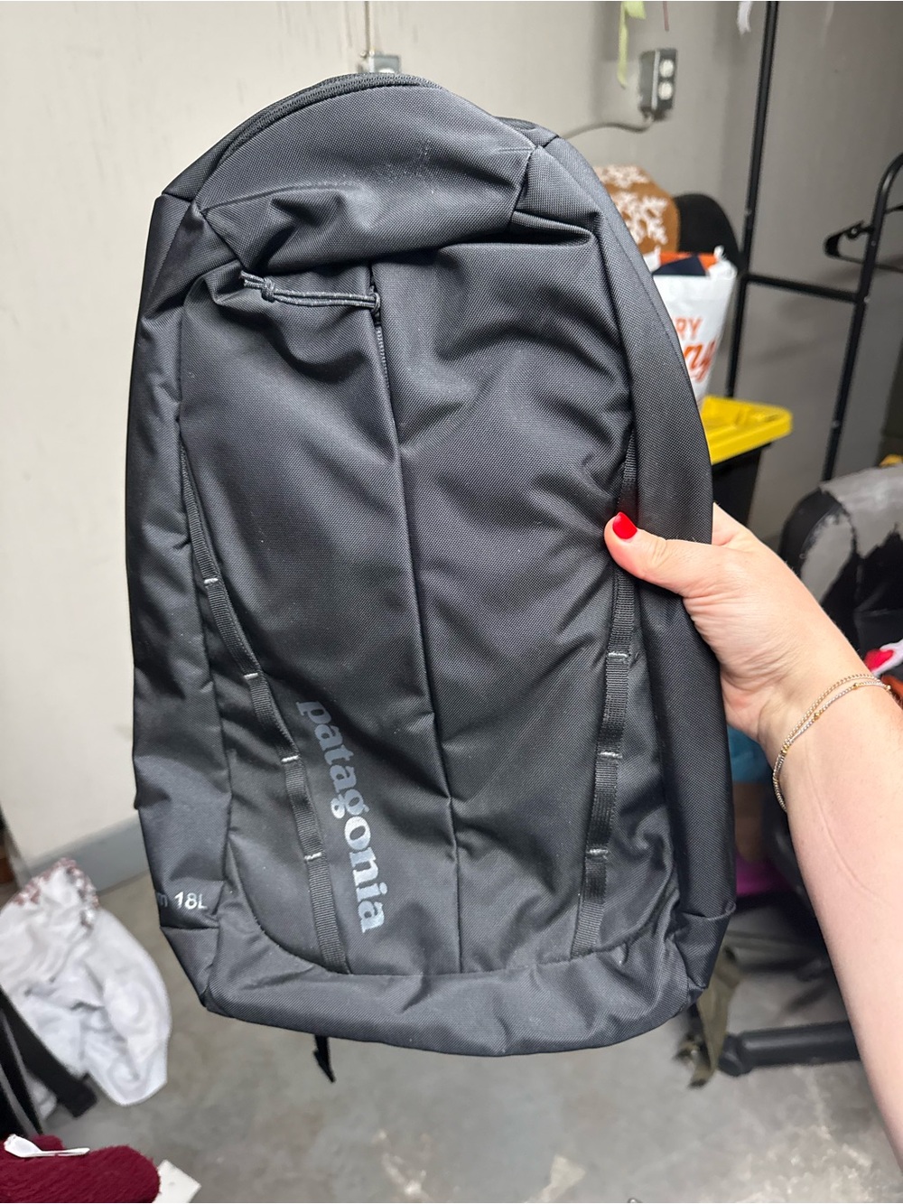 Patagonia Black Everyday 18L Backpack - Picture 1 of 4